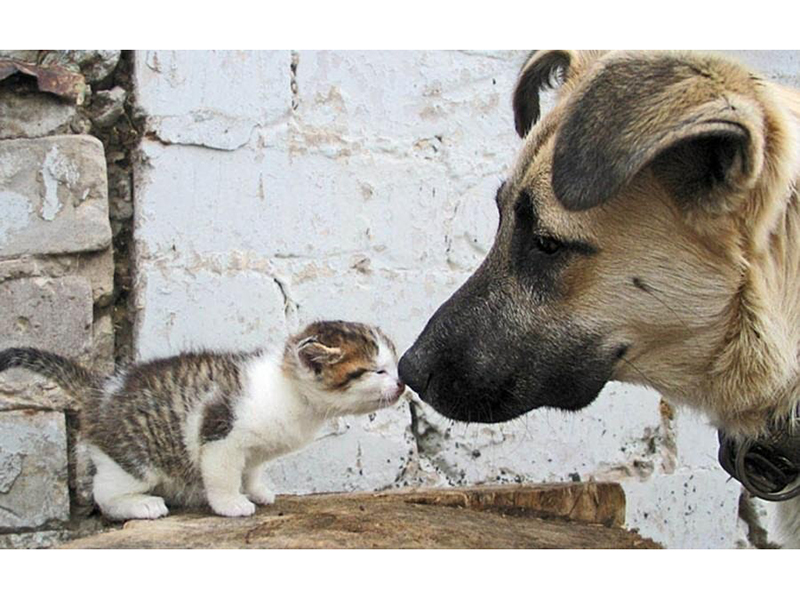 � ������ �������� �������� ����� � ����� �� ������� �� ��������� ���� ��������� ��������