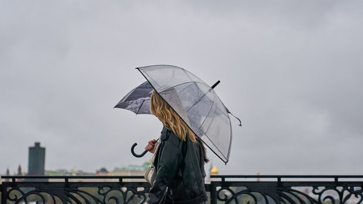 �� 13% �������� ����� ������� ����� ������� � ������ 13 �������