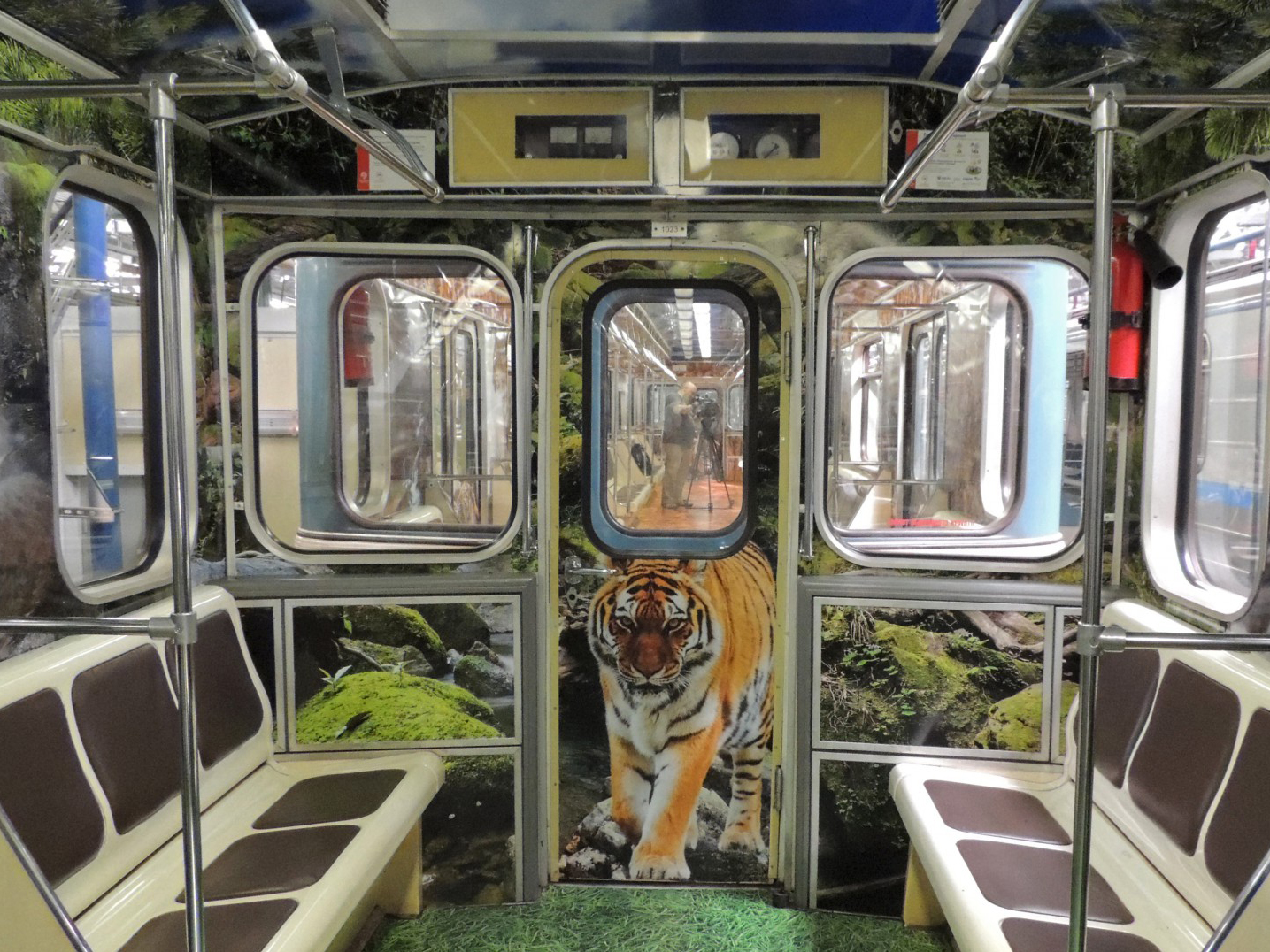 ���������� �������� � ����������� ����������� ��������� � �����