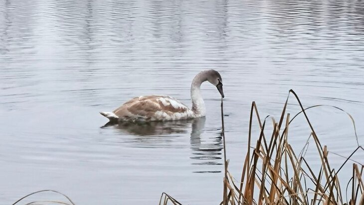 ���������� ������� ������ �� ������� ������ �� ������ ������