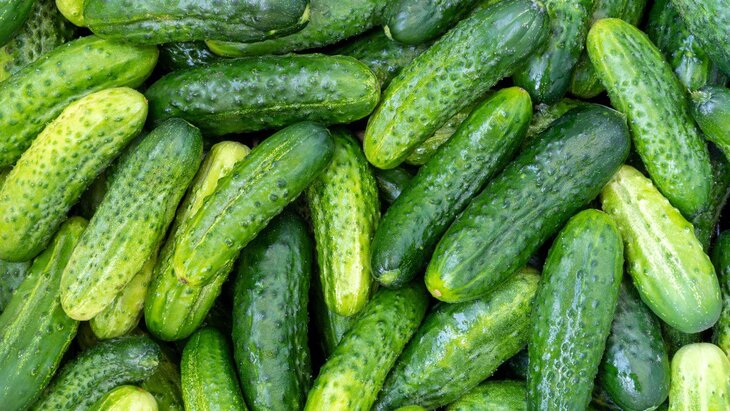 ����� ����������� ����������, ����� � ������ ���������� ������