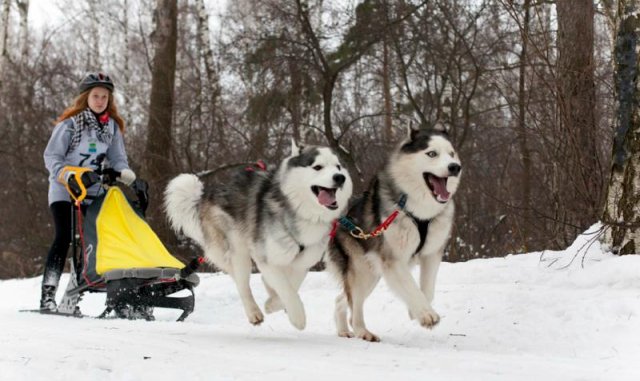 ������������ ����� �� �������� �������� �������� � ���� ������� ���������