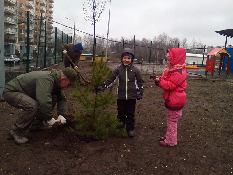 � �������������� ������� ���� "���������" ������� ��������� � �������� �������