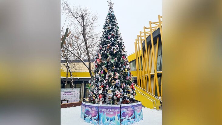 �������� ������� ������������� ���� �� ���������� � ��������� ��������