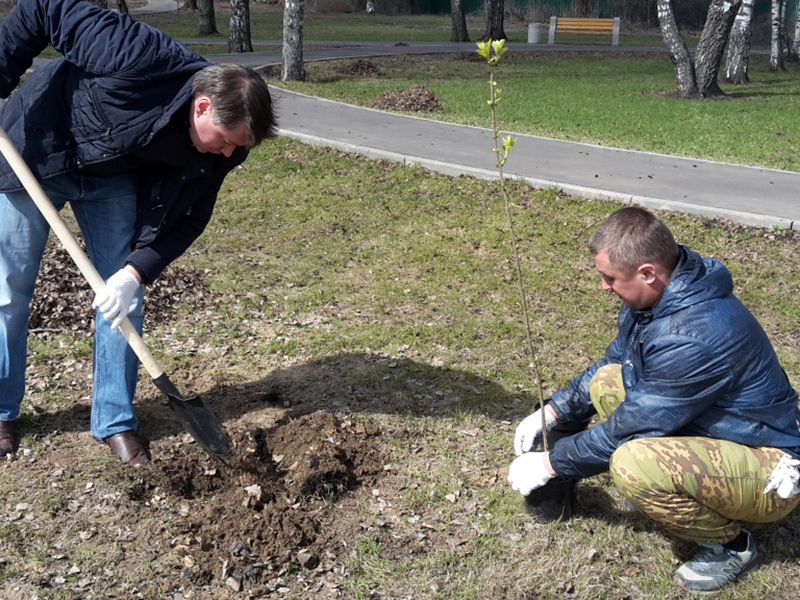 � �������� ����� ��������������� ������ 23 ������ ������� ��������� ���������