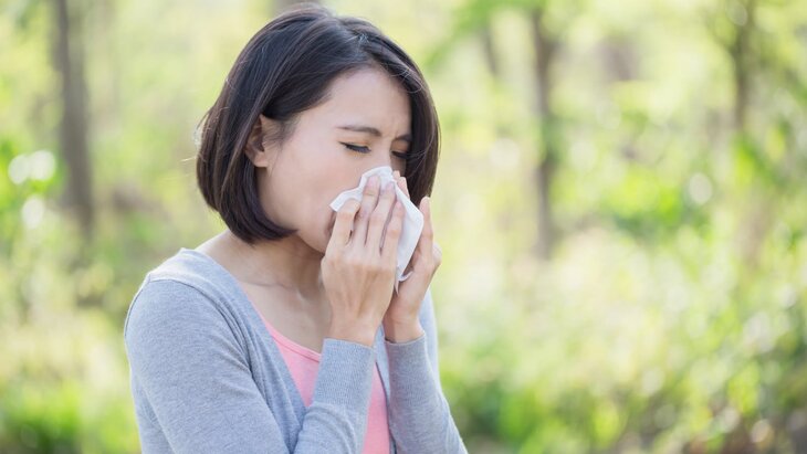 � ������ ������ ������� ������� ����������� ��������