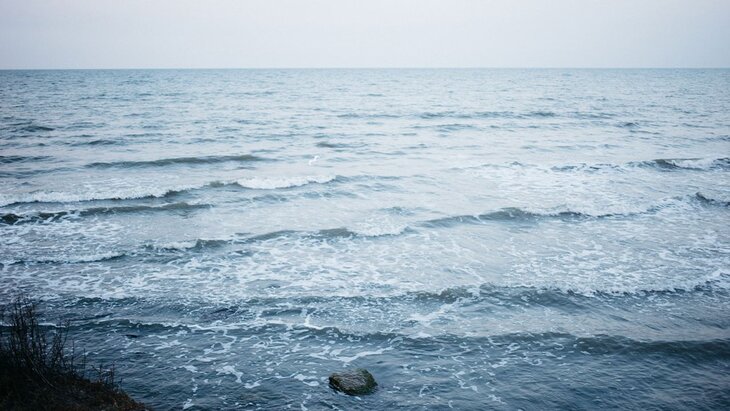 �������� ������, ��� ����� ������� � ������� ���� ��������� �������� �� ��������� � �����