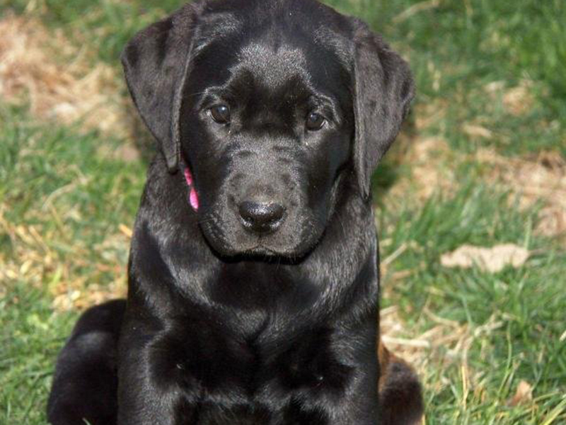 �������� ��������������� ������ ��� ����� � �������������� ������ � ��������� �������� ������� ���������� ��������