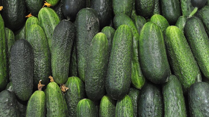 ������ ���������� � ������ ������� � ����� 2025 ����