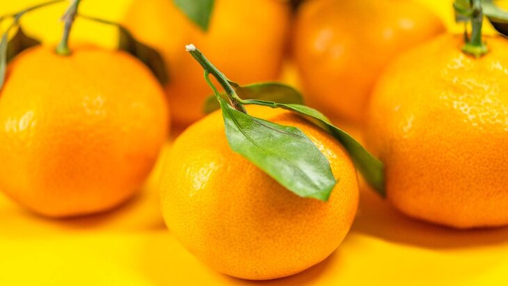 ���������������� �������� ������ �� ���� � �� ���������� �� �������