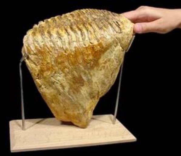 ������������ ����� � ��������� ������������ ��������� ���������� �����