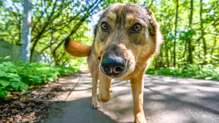 ���������� ����� ������������ �� ���������� ������ ������