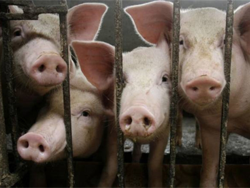 ������� �� ������ � ��������� �������� ��� ������������� �� ������ �����