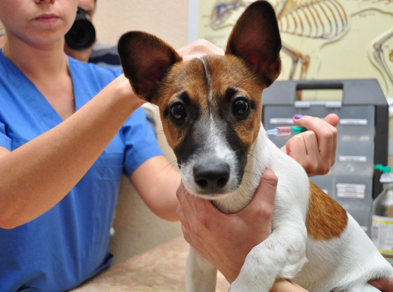 �������� ����� ���� ���������� ���������� �������� �������� ������ ��������� �� ���������� ��������������� ������