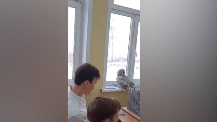 ���� �������� � ����� � ����� �����������