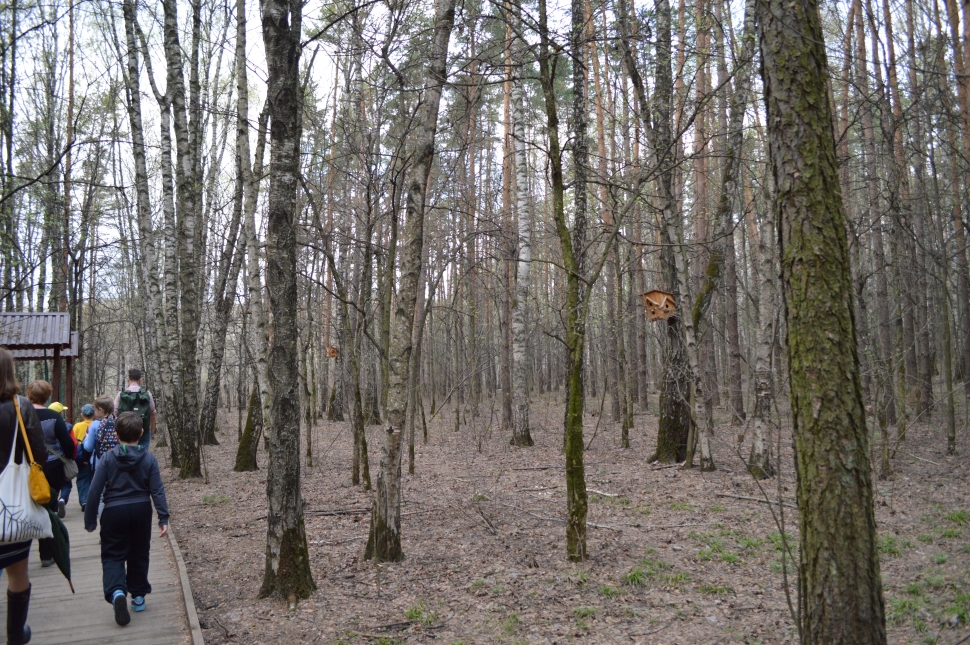 � ���� ������ ���������� �������� ������������� �����