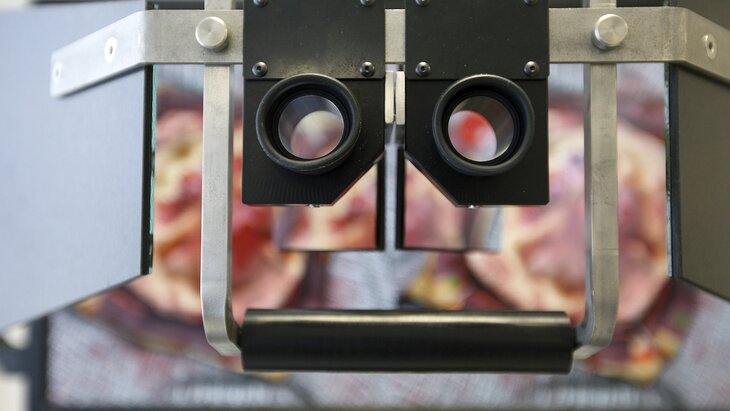 ����������� ������� ��������, ������� ����� ��������� � ��������� ������