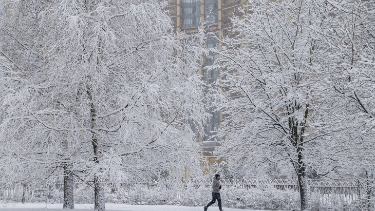 �������� �������� �������� ���������� � ������ ����������� � ����������� ������