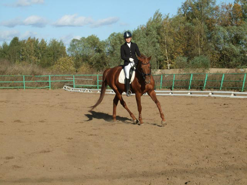 ������������ �� ������� �� ����� ������� ���� ��������� ������ � �������������� ������