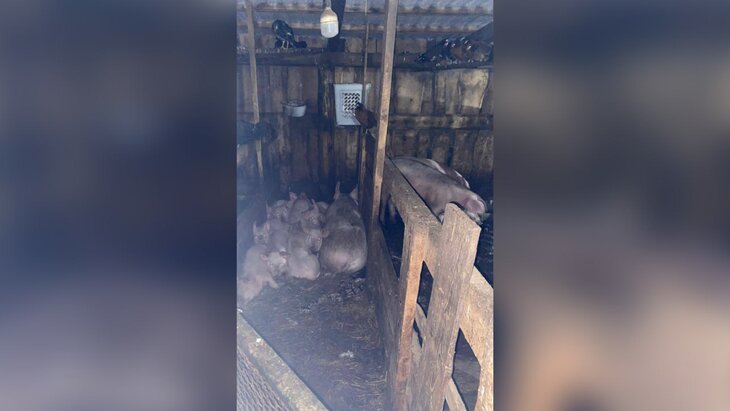 �������� � ������ ��� ������ � ������������ ���� ������� ��� ������� ���