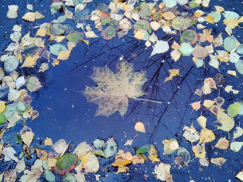 ����� � ��������