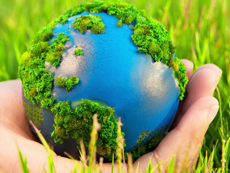 ������ ��������� �� ������ ������ � ������������� �������� �������� ������ 