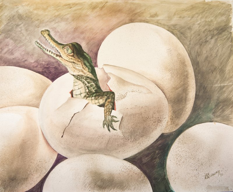 �������� ��� ��������� �� ���-������ �������