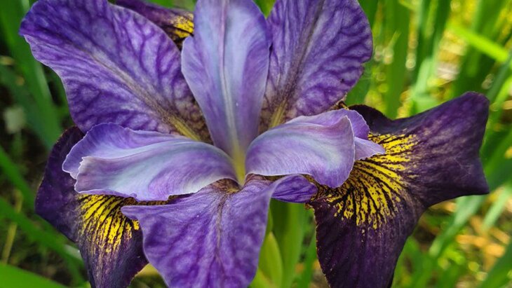 �������� �������� ������ ������� � "����������� �������" � 1 �� 10 ����