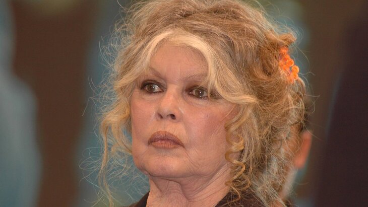 ������ ������� ������ ����� ������ ������� �� ������