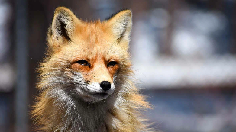 ����������� ���������� � ������� ���� � ���� ��� ������ ����