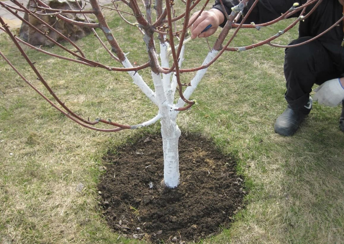 �� ������� ������������� ������� ����� 160 �������� 