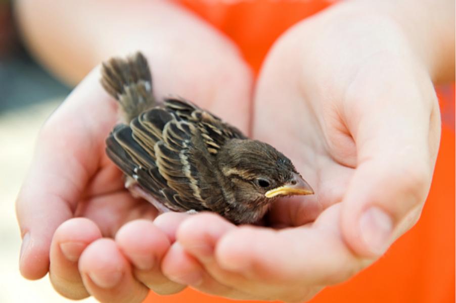 ���� ���� ������� � ������������� ����� ��� ��. �.����������