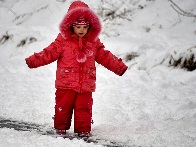 � ������ 2016 ���� ������ ������ ����� ��������� �� ���� �������� ������