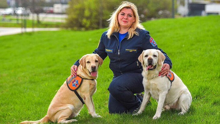 � ����������� ������ ������� ������������� ����������� �����-����������