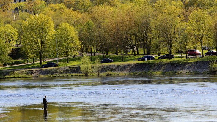 ��� ������� �������, ��� �������� ����������, ������� ������������� � ������ � ��