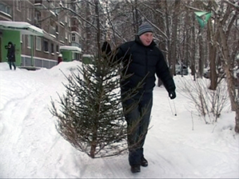 ���������� �� ����� ���� � ������ ����� �������� �� ����� ������