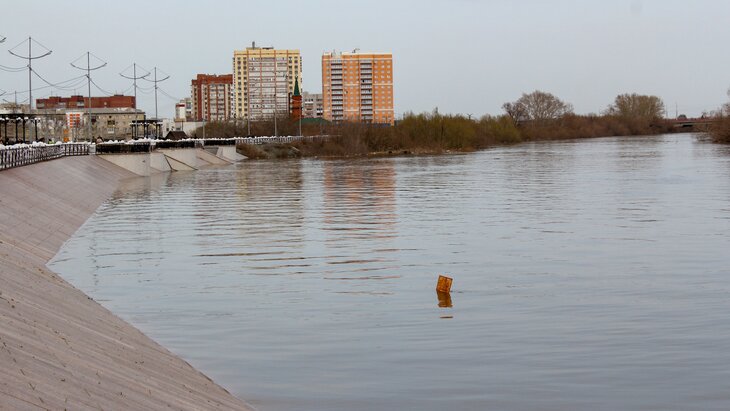 ���� � ���� ����� � ������� ���������� ���� ������� �������