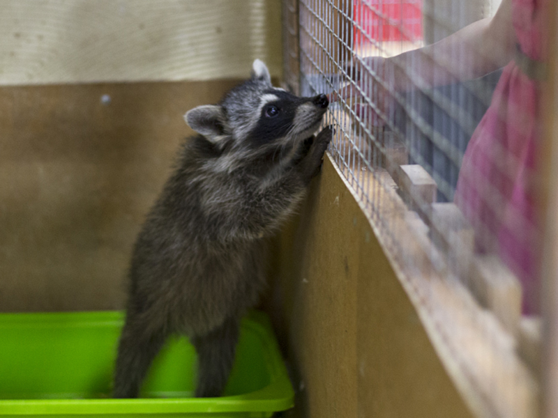 � ���������� �������� � ��� ��������� ����� ���������