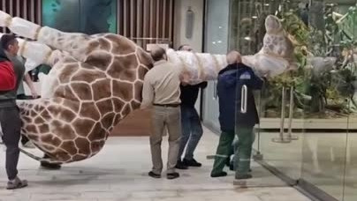 ������ ������-����������� ������� �� ����������� �������� ��������� � ������������ �����