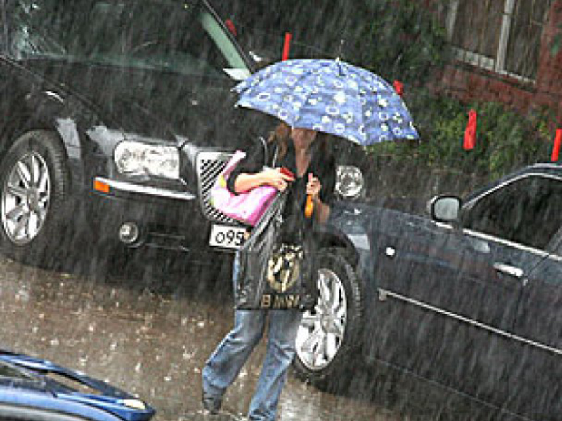 ������ � ������ ���������, �������� ����