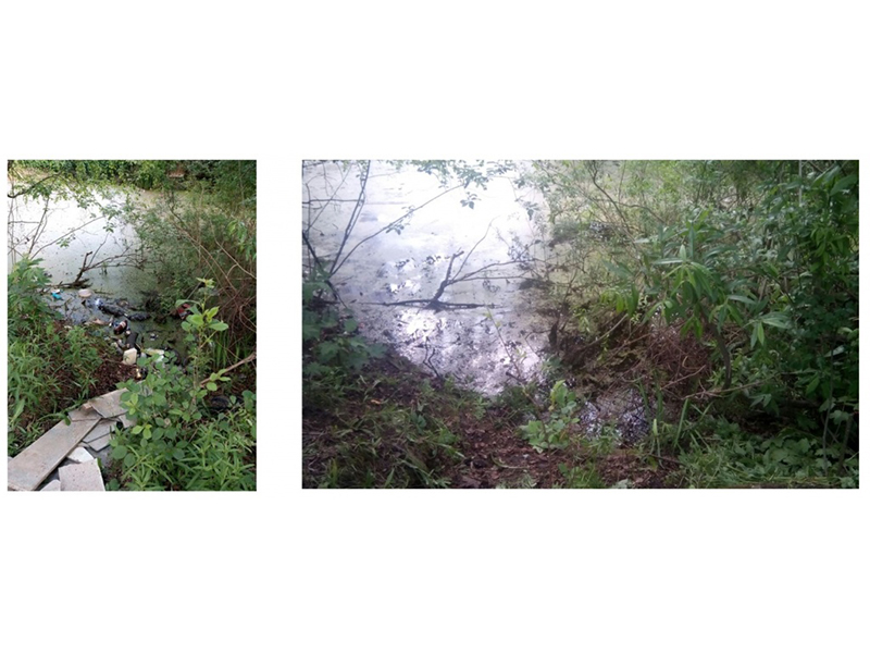 � �������������� ������ �������� ���� � ��������� ��������