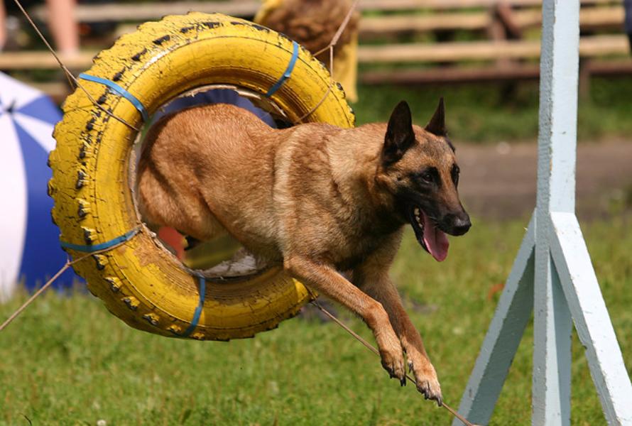 ���������� ���� ����������� � ������� ��������������� ������