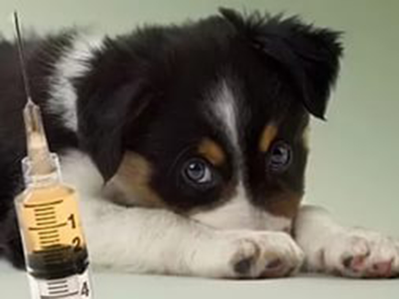 � 2016 ���� � �������������� ������ ����� ��������� ������������� �������� ��������