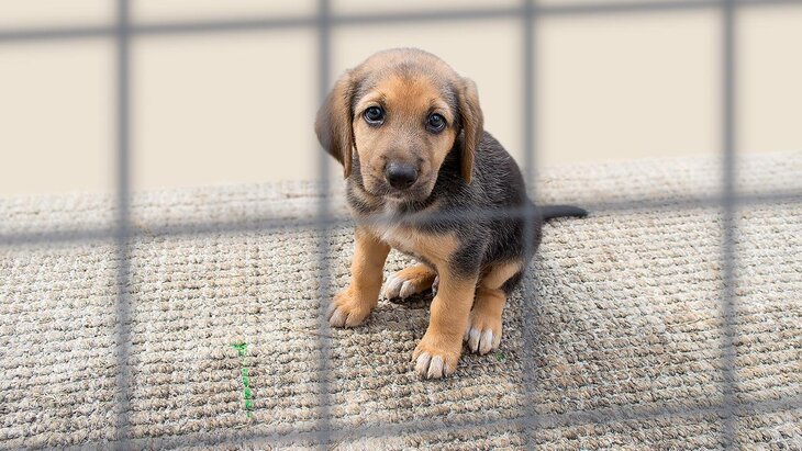 ������� ������ ������������� �������� � �������� ������ ������������ � ����������� �����