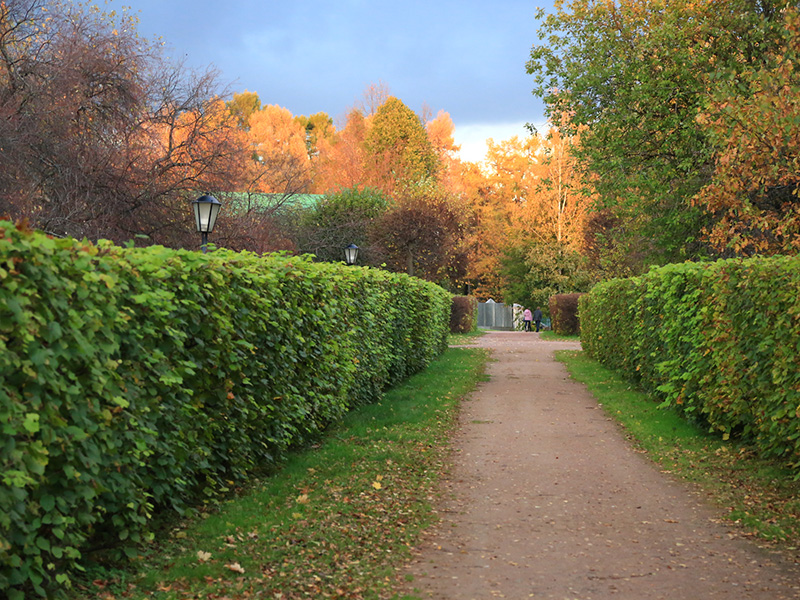 �� ����������� �������� ����� ������ ���������� ������������ ����� ��� ��������