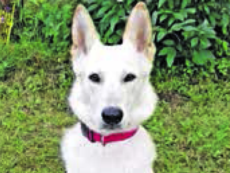 �������������� ����� ��� �������� ���� ������ ��� ����� ��������