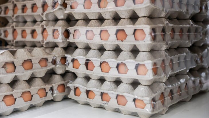 �������� ������ ������� �� ������ ���������� ��� � ������ � 28 ����