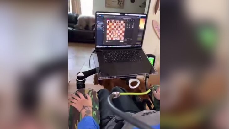 ������� � �������� ����� �������� ����� Neuralink ������ � �������