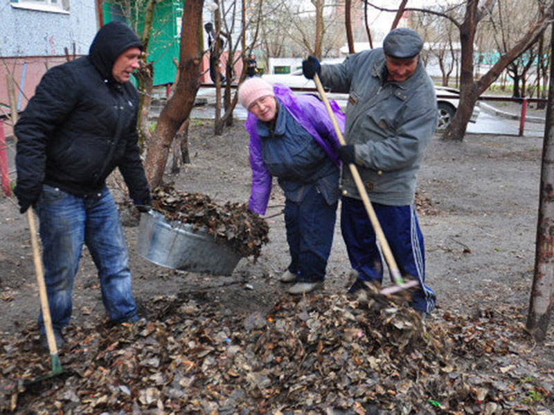 � �������������� ������ � ������ ����������� ���������� ��������� �����������