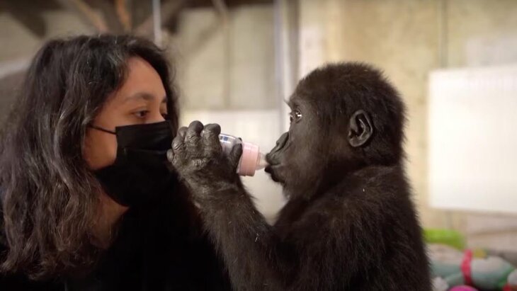 ��������� �� ����� �������� ������� ������� ������ � ������